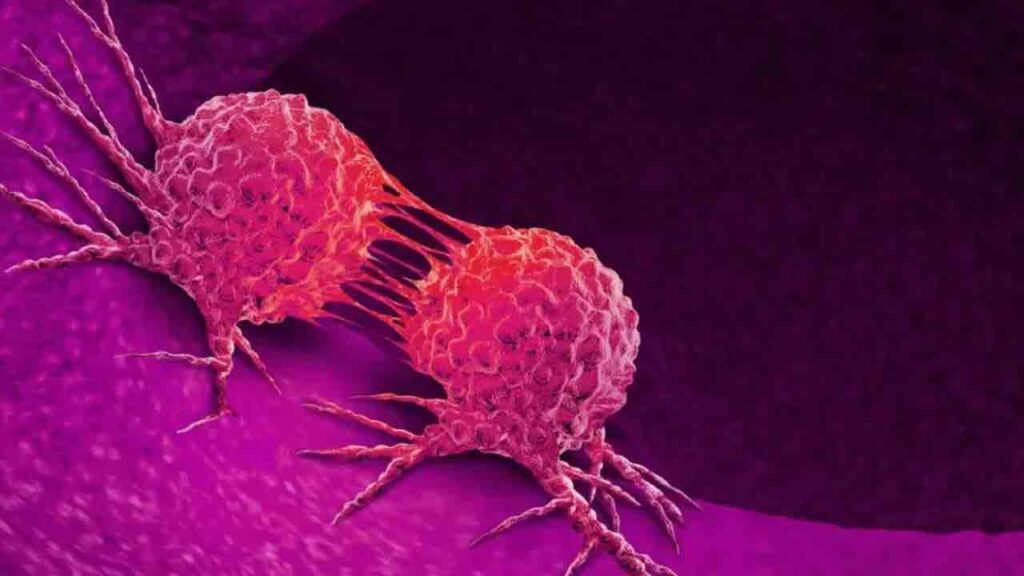 Cancer Cells