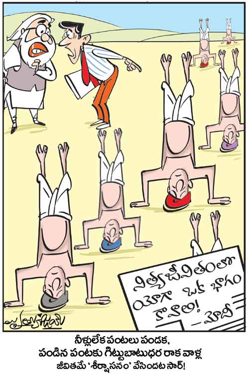 Cartoon