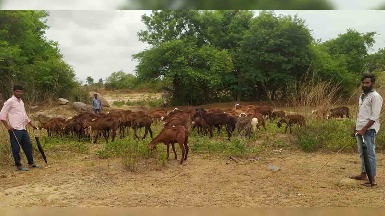 Caste Occupations | మా ఇంటి దేవుడు కేసీఆర్‌ సార్‌.. రేవంత్‌రెడ్డి సర్కార్‌లో కుల వృత్తులు కనుమరుగు