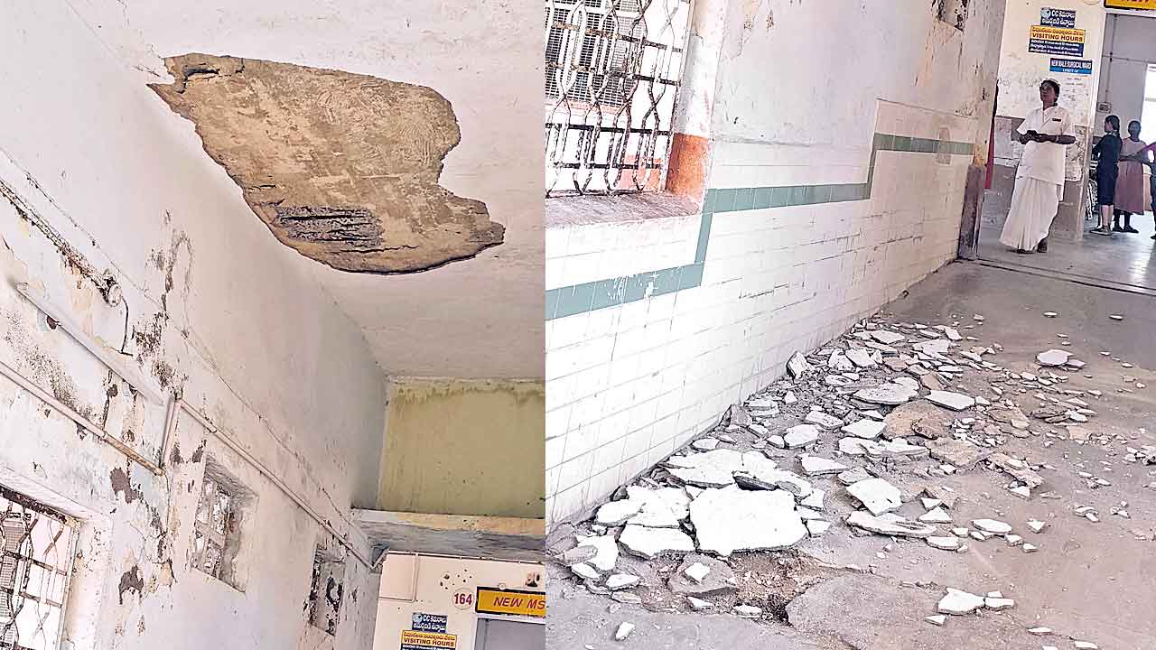 ఇదీ ఎంజీఎం దవాఖాన!