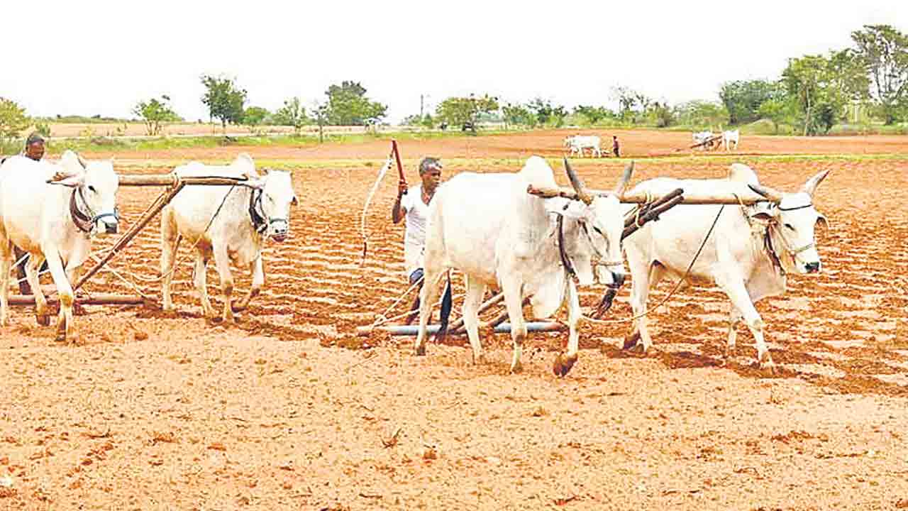 బోనస్‌ బోగసేనా?