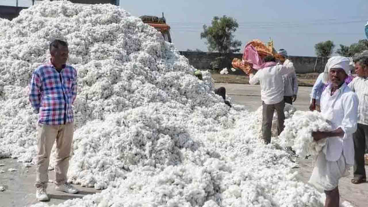 పత్తి కొనుగోళ్లు ఎత్తేసినట్టేనా?