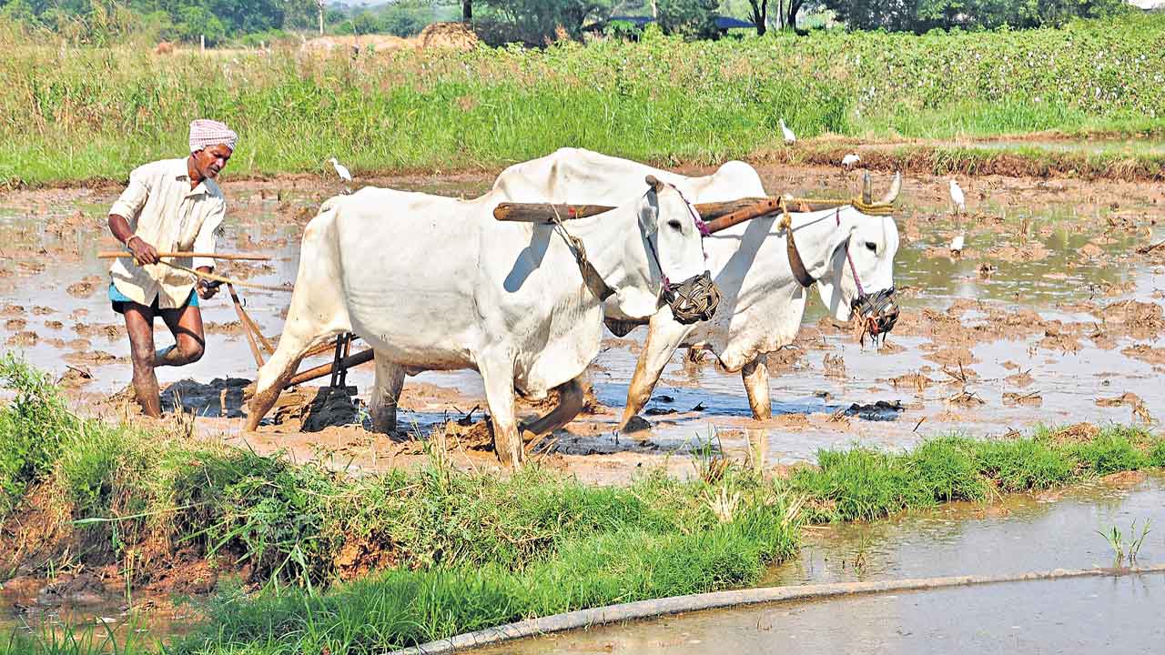 భూభారతికి.. సమస్యల హారతి