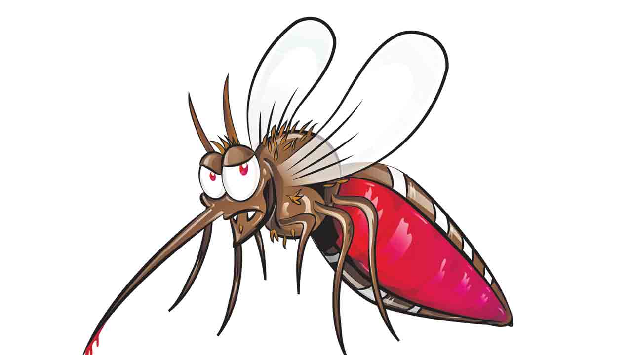 నగరంలో డెంగీ కలకలం