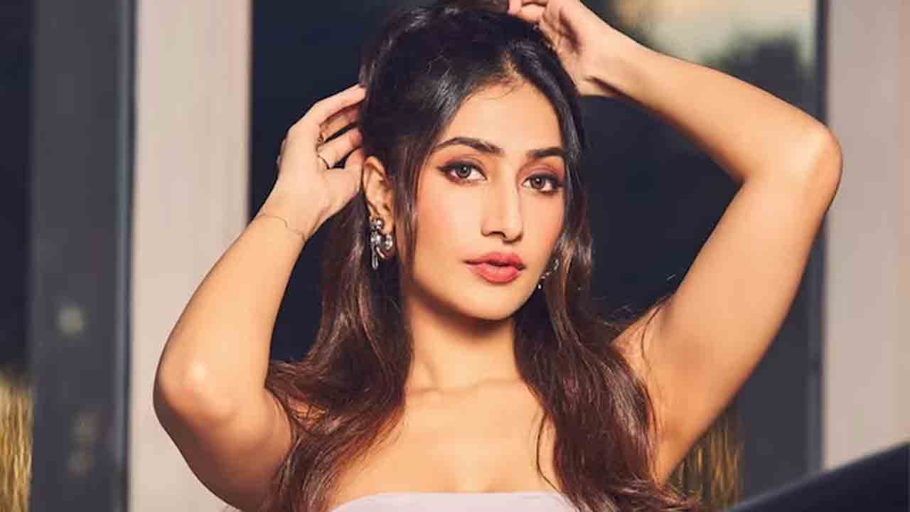 Dhanashree Verma | ప్రస్తుతం దృష్టంతా కెరీర్పైనే.. మళ్లీ ప్రేమలో పడటంపై స్పందించిన ధనశ్రీ