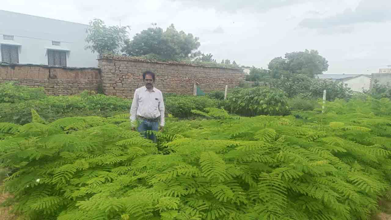 మొక్కలు నాటేందుకు సిద్ధంగా ఉంచాలి : ఎంపీడీవో