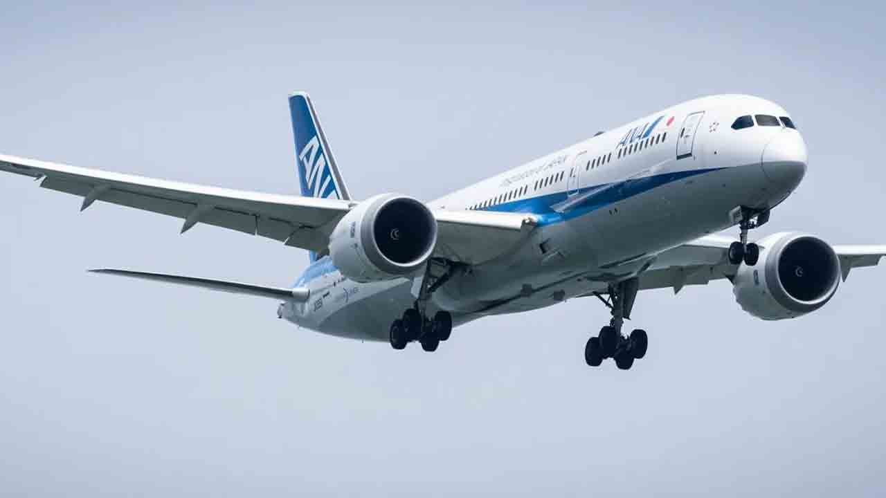 దేశంలో డ్రీమ్‌లైనర్‌ విమానాల రద్దు?.. పరిశీలిస్తున్న కేంద్రం