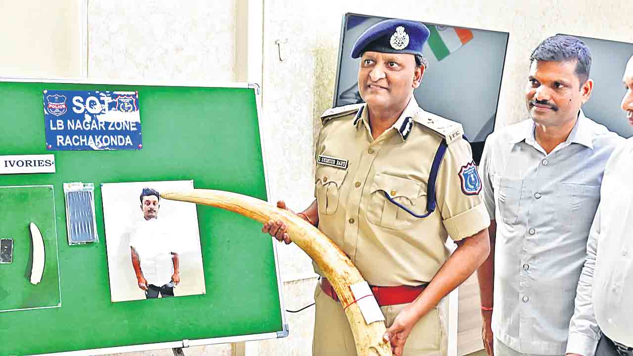 రూ.3 కోట్ల విలువైన ఏనుగు దంతాల విక్రయానికి యత్నం