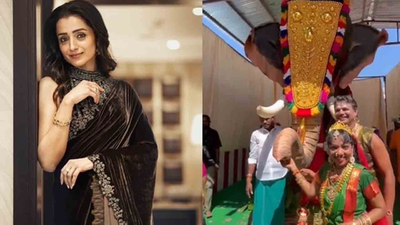 Trisha Krishnan | ఆలయానికి ఏనుగును గిప్ట్‌గా ఇచ్చిన‌ న‌టి త్రిష