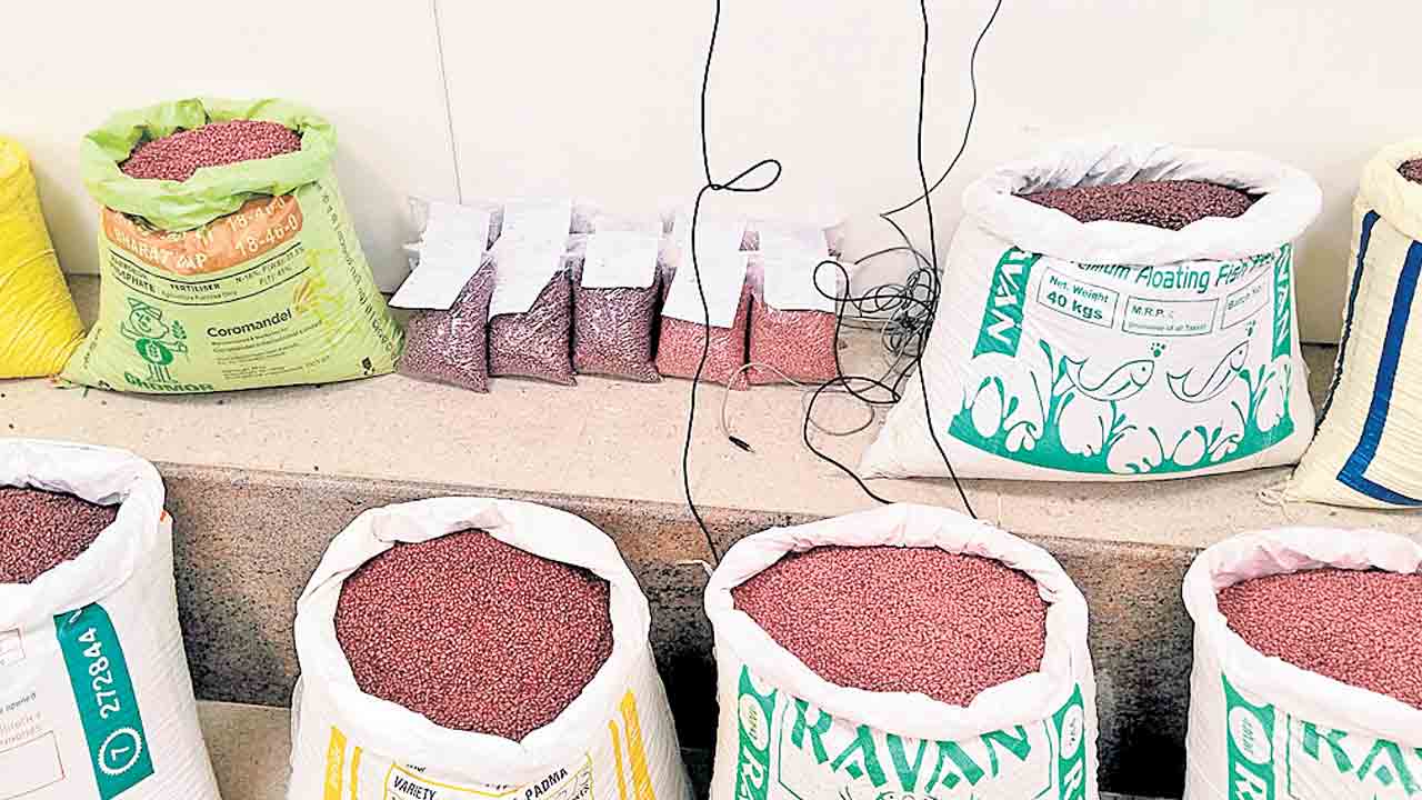 నకిలీ విత్తనాలతో దళారుల దందా!