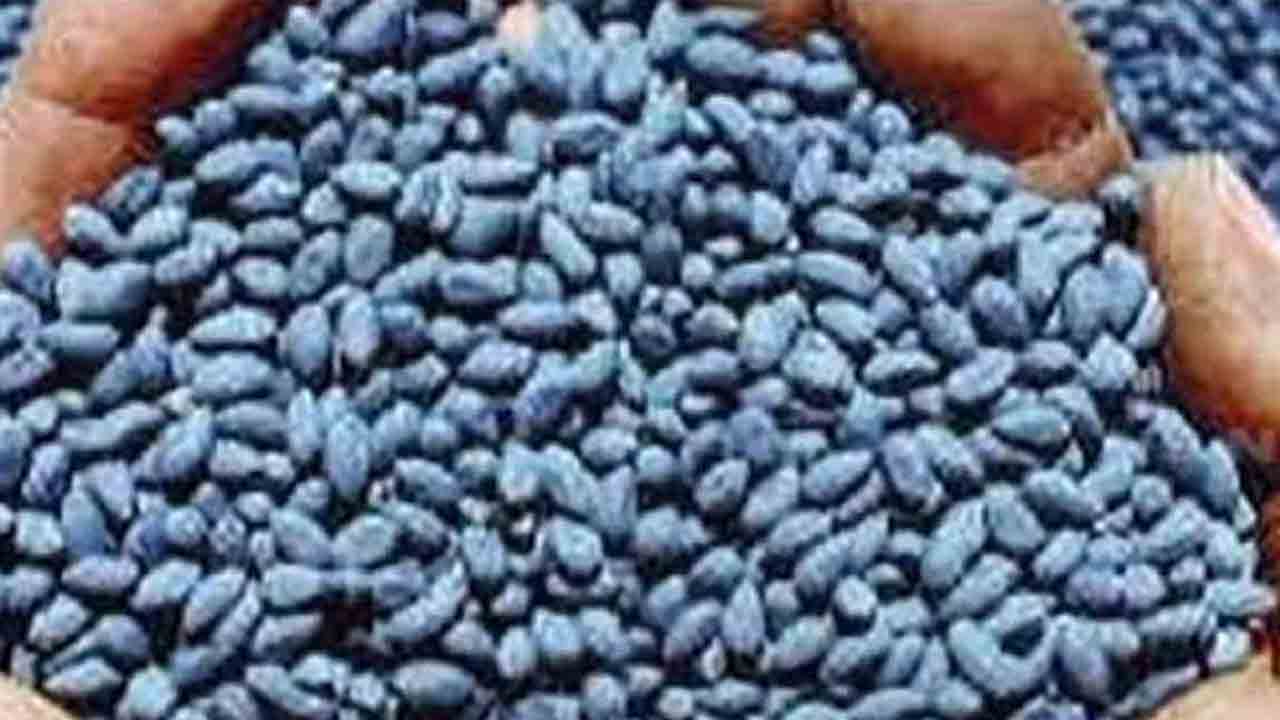 Seeds | విత్తనాల విషయంలో జాగ్రత్త చర్యలు తీసుకోవాలి : ఏడీఏ నూతన్ కుమార్