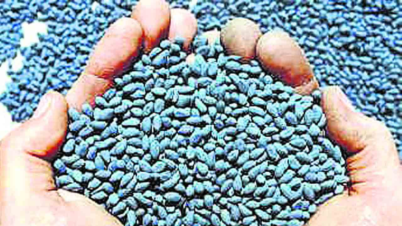 Chevella | న‌కిలీ విత్తనాలు అమ్మితే కఠిన చర్యలు : వ్యవసాయ అధికారులు