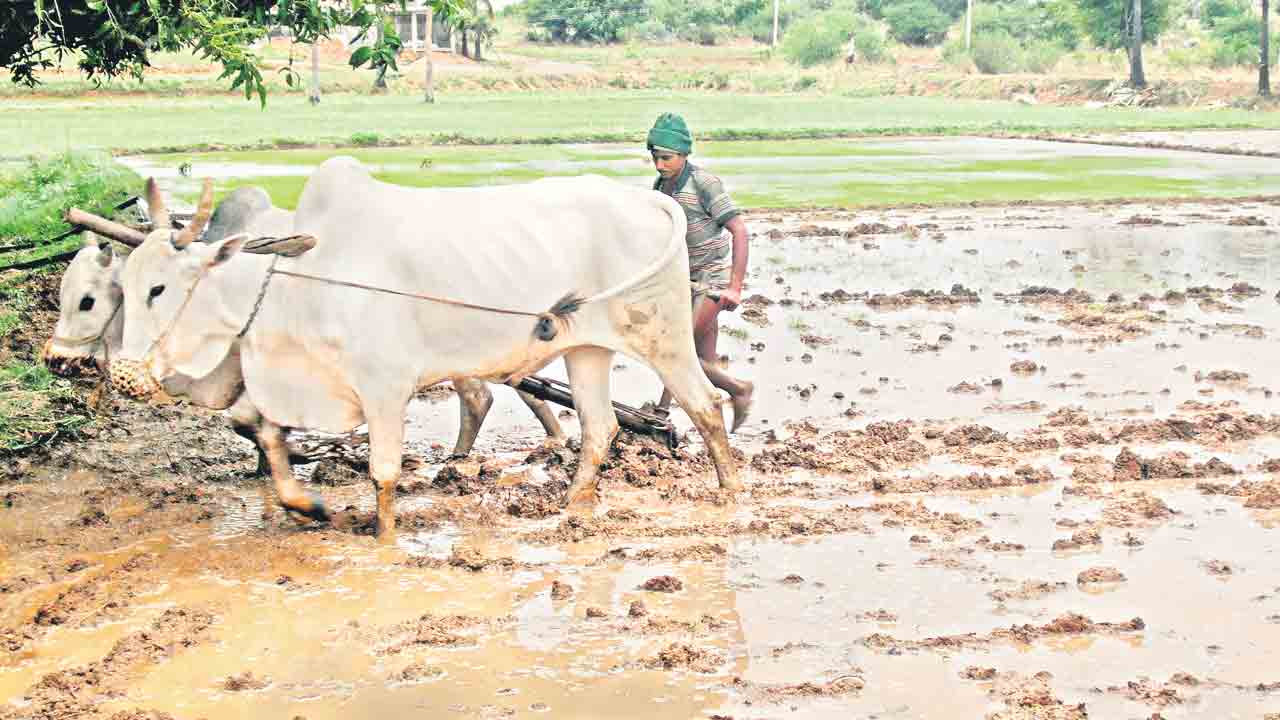 కౌలు రైతుకేది భరోసా .. కాంగ్రెస్‌ పార్టీ హామీ ఏమయింది?