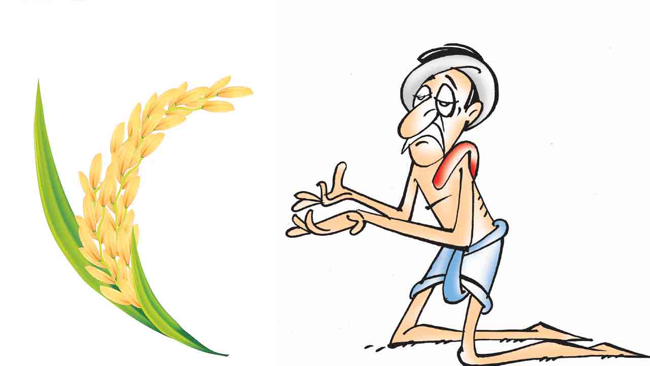 సన్న వడ్ల బోనస్‌ ఎప్పుడు