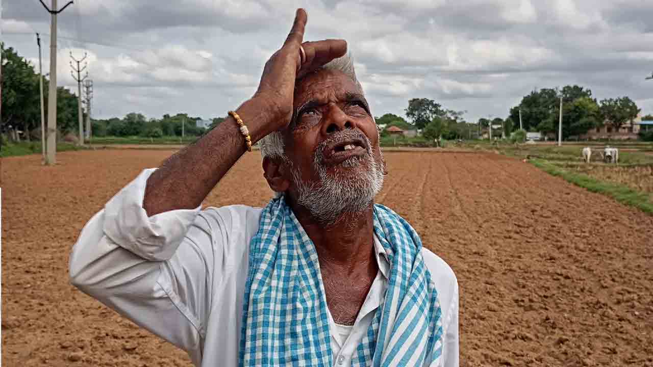 Farmers | ముందస్తుగా పత్తి, మొక్కజొన్న పంటల సాగు.. వర్షాల కోసం రైతన్నల ఎదురుచూపులు