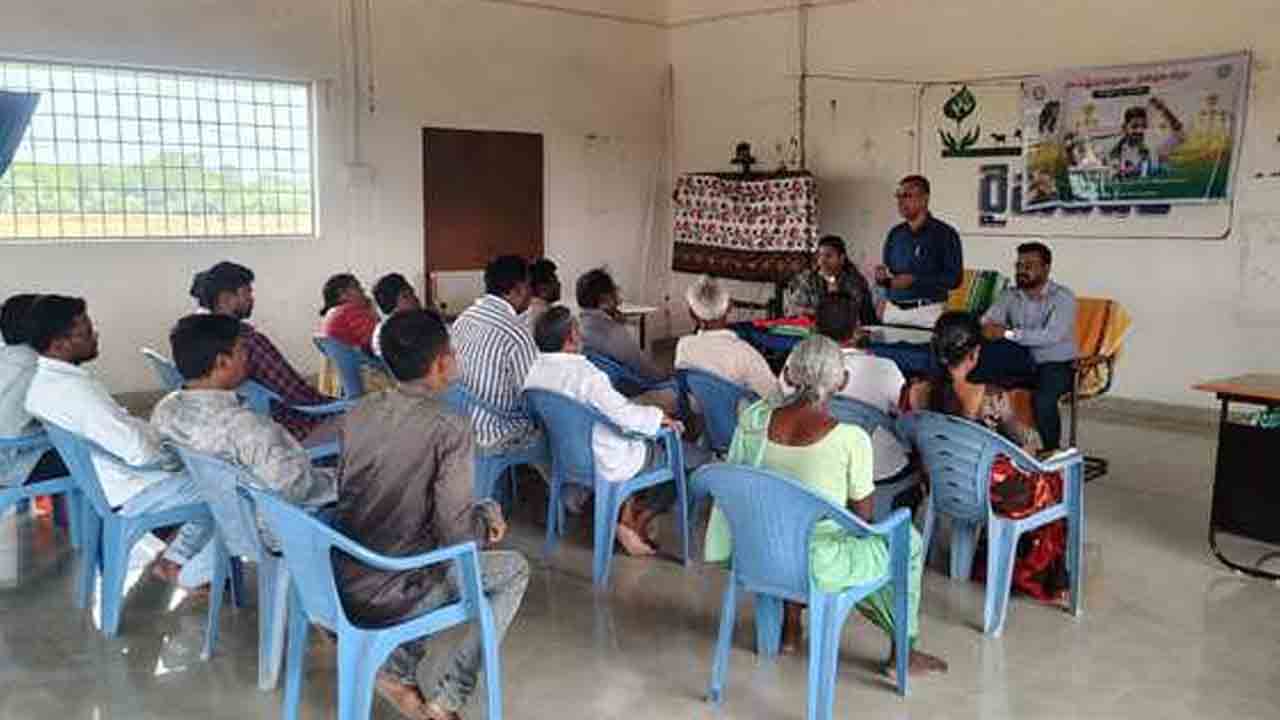 Cumin seeds | సారవంతమైన భూముల్లో జీలుగ విత్తనాల సాగు ఎంతో మేలు
