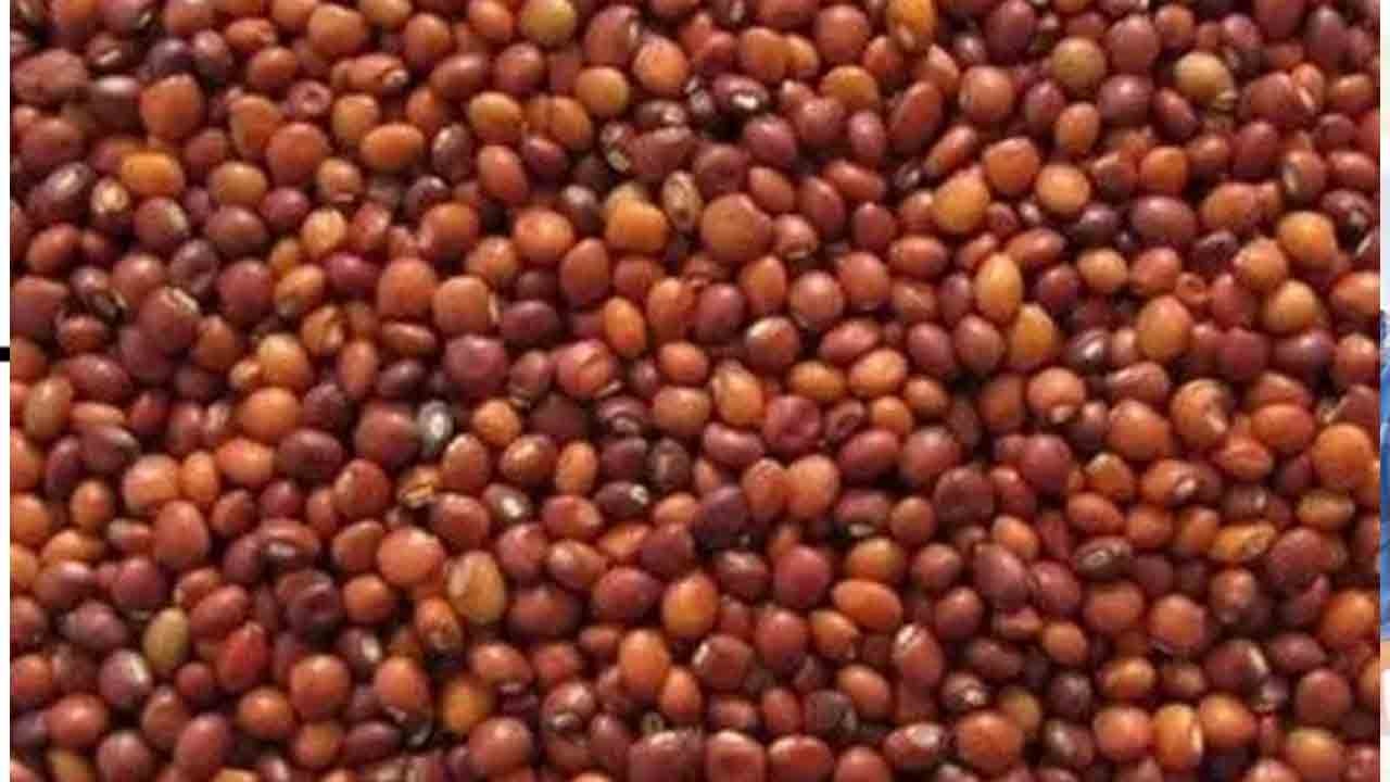 Farmers Seeds | రైతులకు కంది, పెసర విత్తనాల పంపిణీకి చర్యలు : వ్యవసాయ సహాయ సంచాలకులు బిక్షపతి