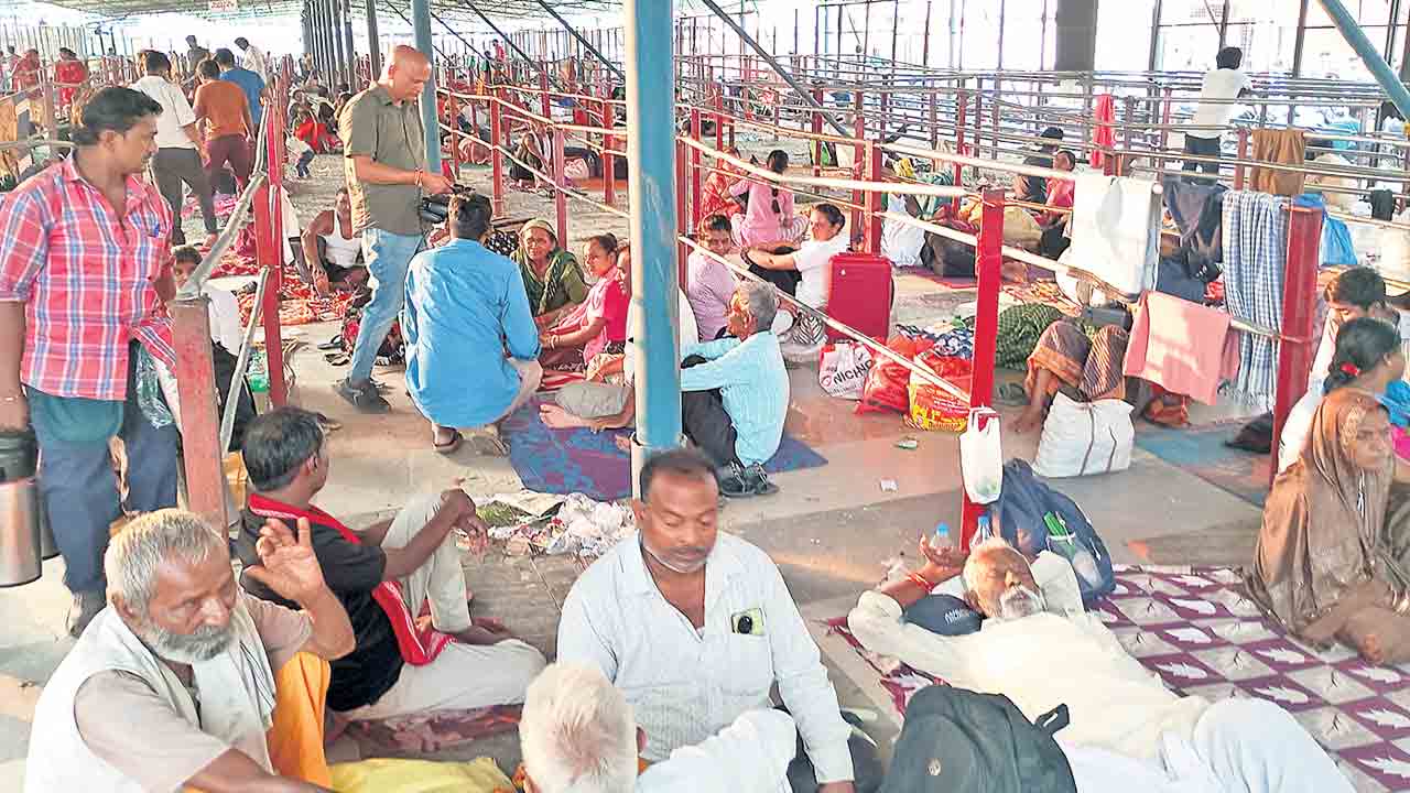 నేడు చేప ప్రసాదం పంపిణీ