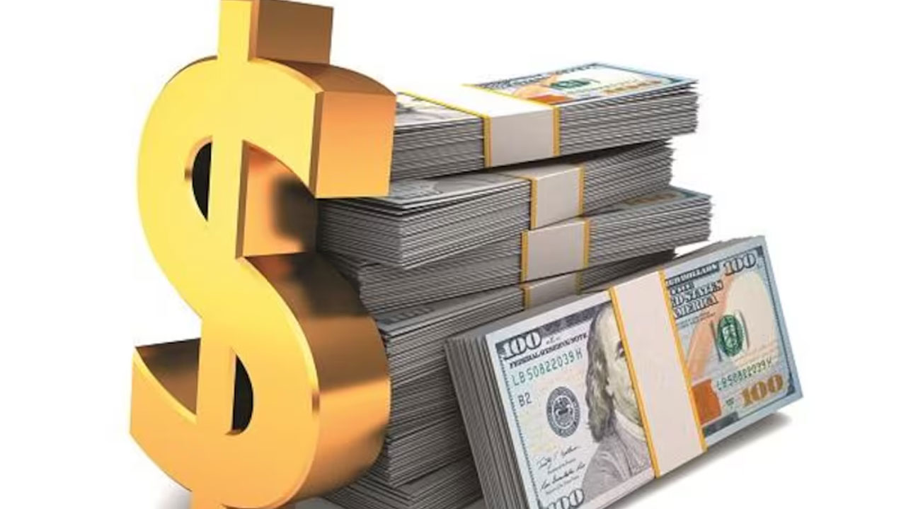 కరిగిపోయిన విదేశీ నిల్వలు