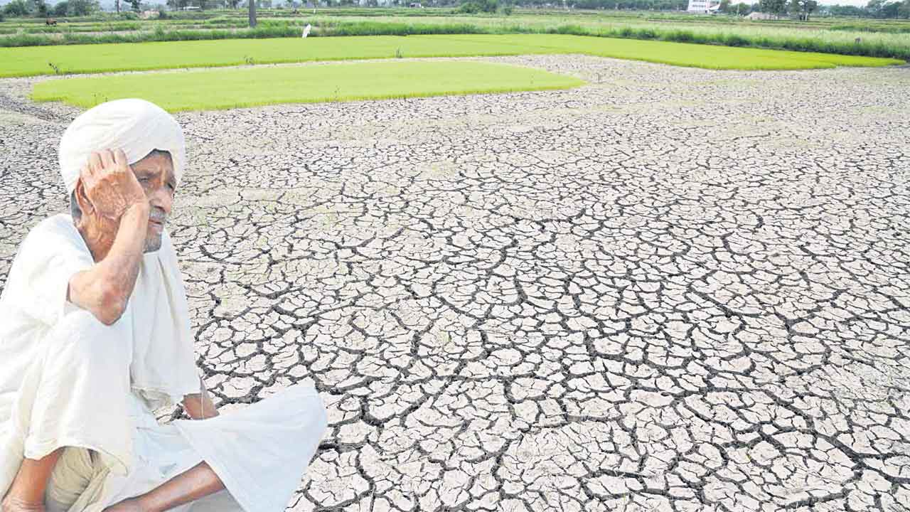 చినుక లేదు.. కునుకు రాదు.. ఉమ్మడి నల్లగొండ జిల్లాలో కానరాని వర్షాలు!