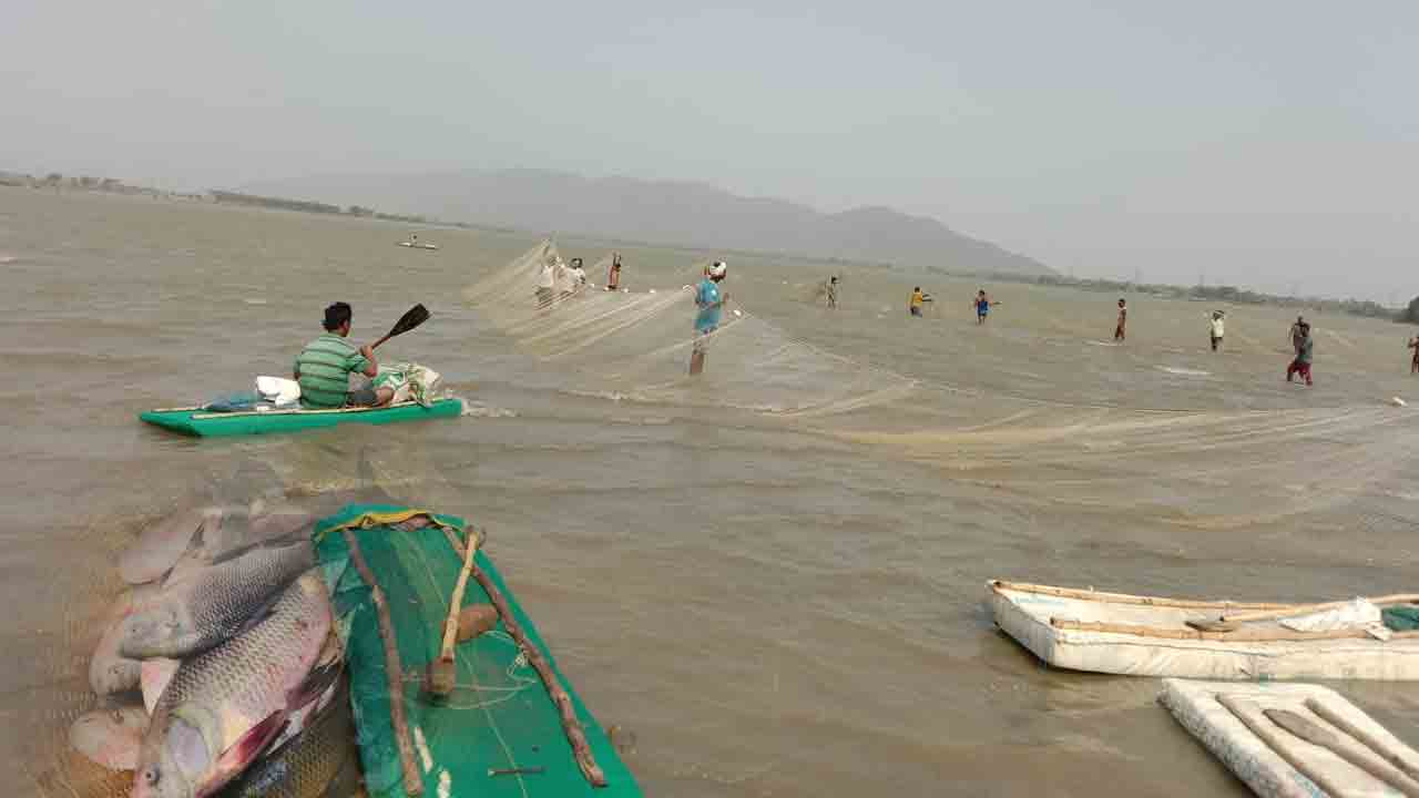 మత్స్యరంగం కుదేల్‌