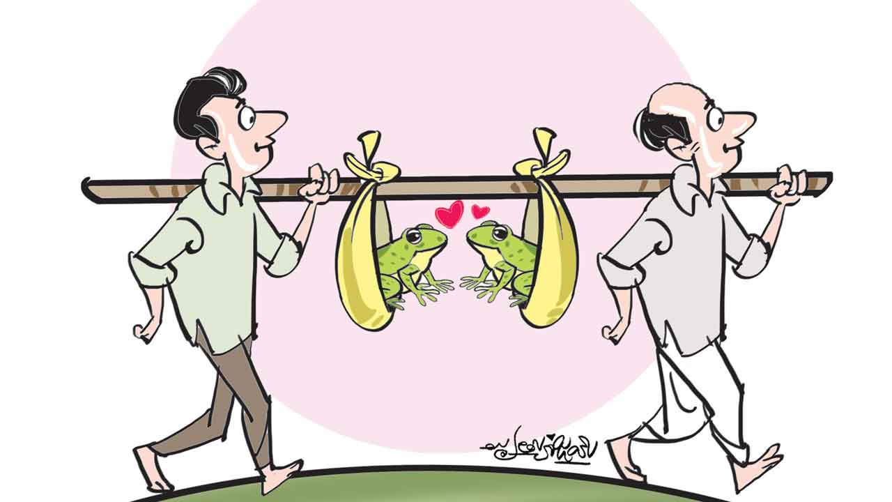 వాన కోసం కప్పల కావడి