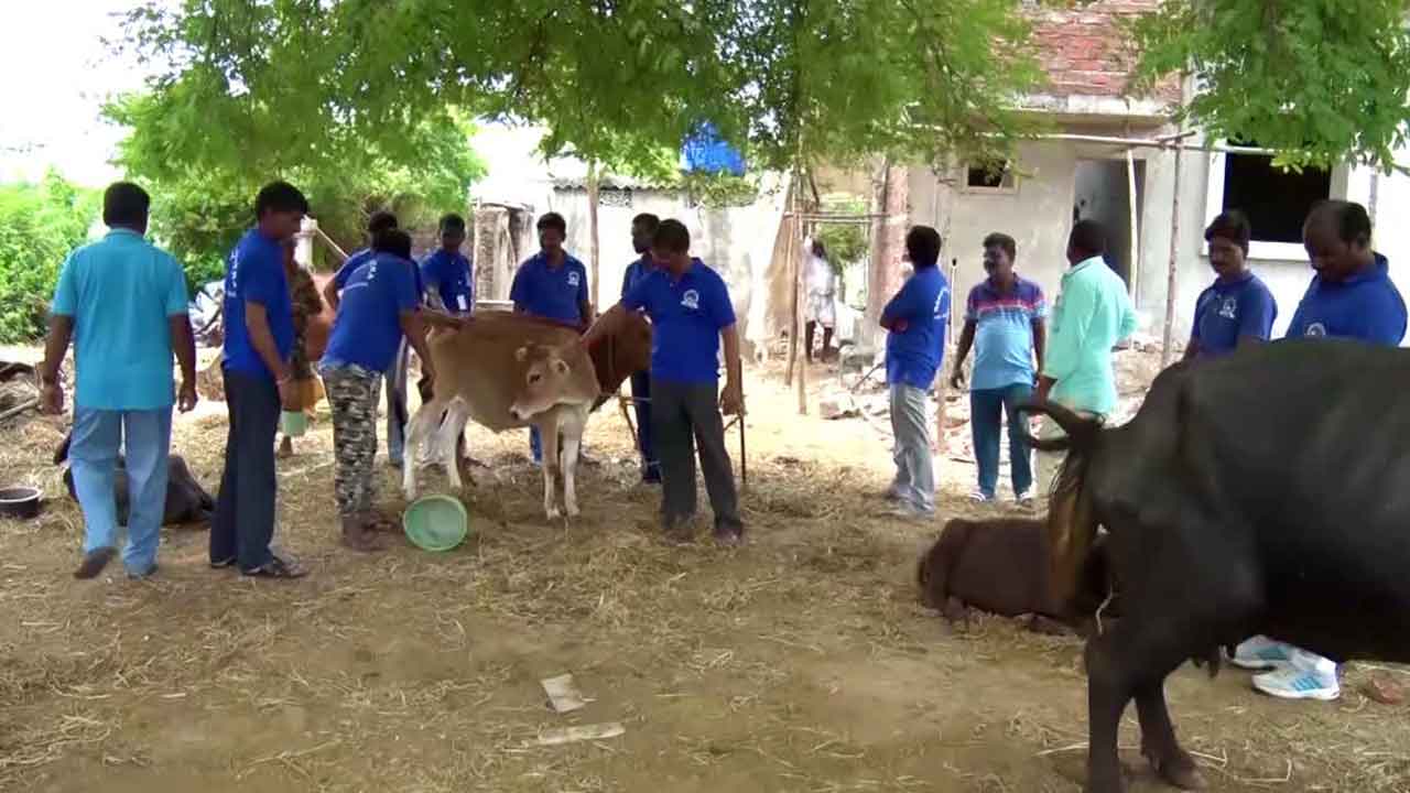 గోపాలమిత్రలకు జీతాలేవి?.. 9 నెలలుగా వేతనాలు ఇవ్వని రేవంత్‌రెడ్డి సర్కారు