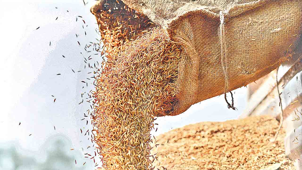 సివిల్ సప్లయ్లో వెయ్యికోట్ల కుంభకోణం.. టెండర్ ధాన్యం మాటున భారీ స్కాం