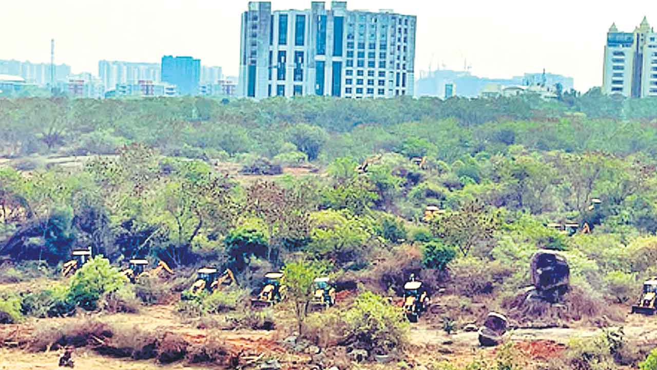 హెచ్‌సీయూలో అడవి ధ్వంసంపై కేసు!.. భూముల అంశంపై దూకుడు పెంచిన ఎన్‌హెచ్చార్సీ