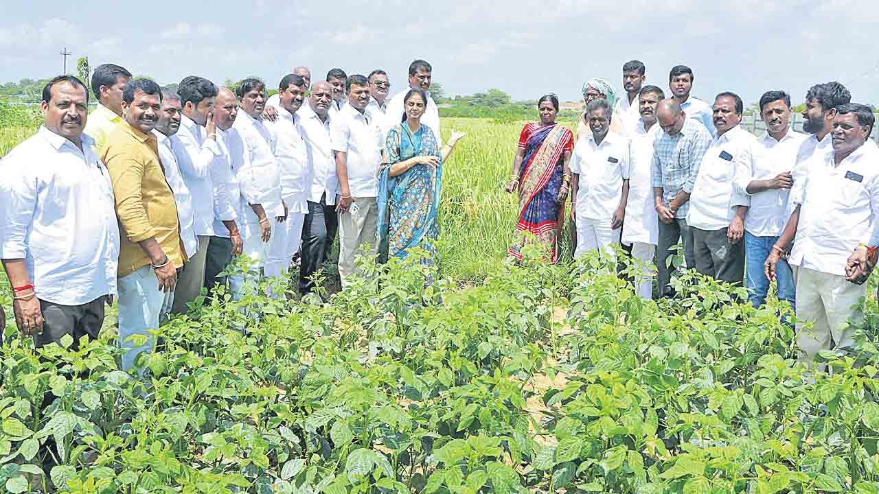పంటలు చూసి.. భరోసా ఇవ్వండి