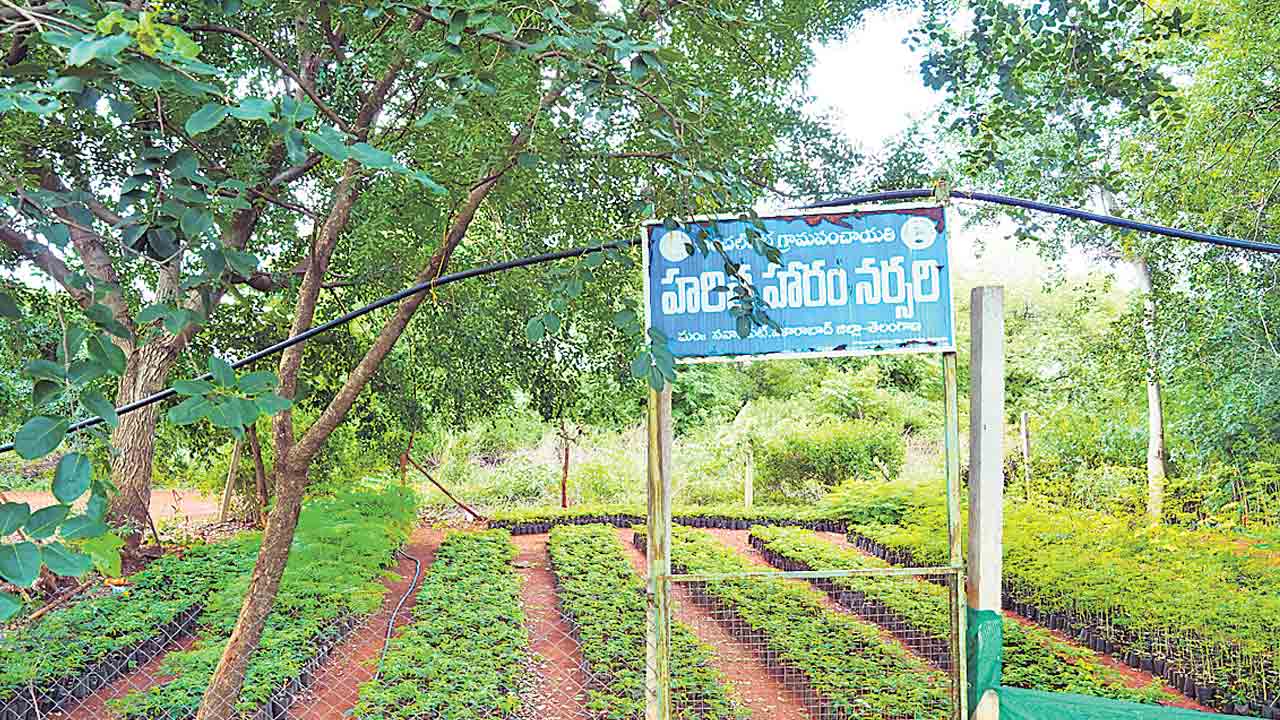 నర్సరీల్లోనే మొక్కలు