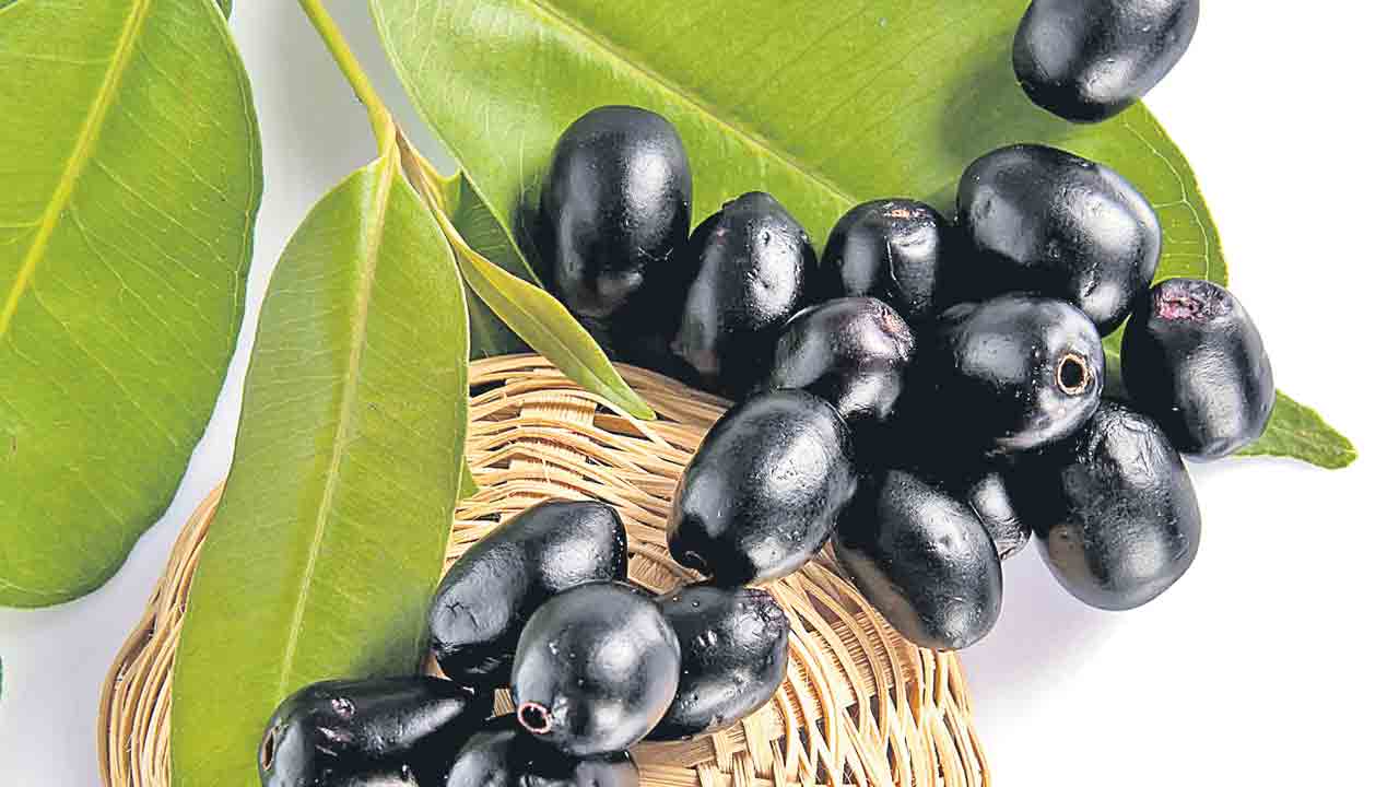 ఆకులతో ఆరోగ్యం!