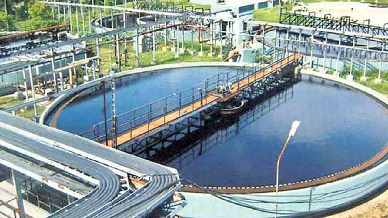 Illegal Fish Farming 4