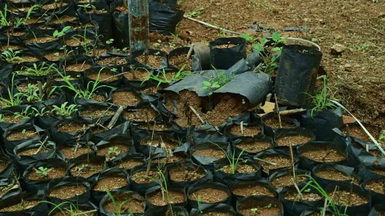 Khammam3