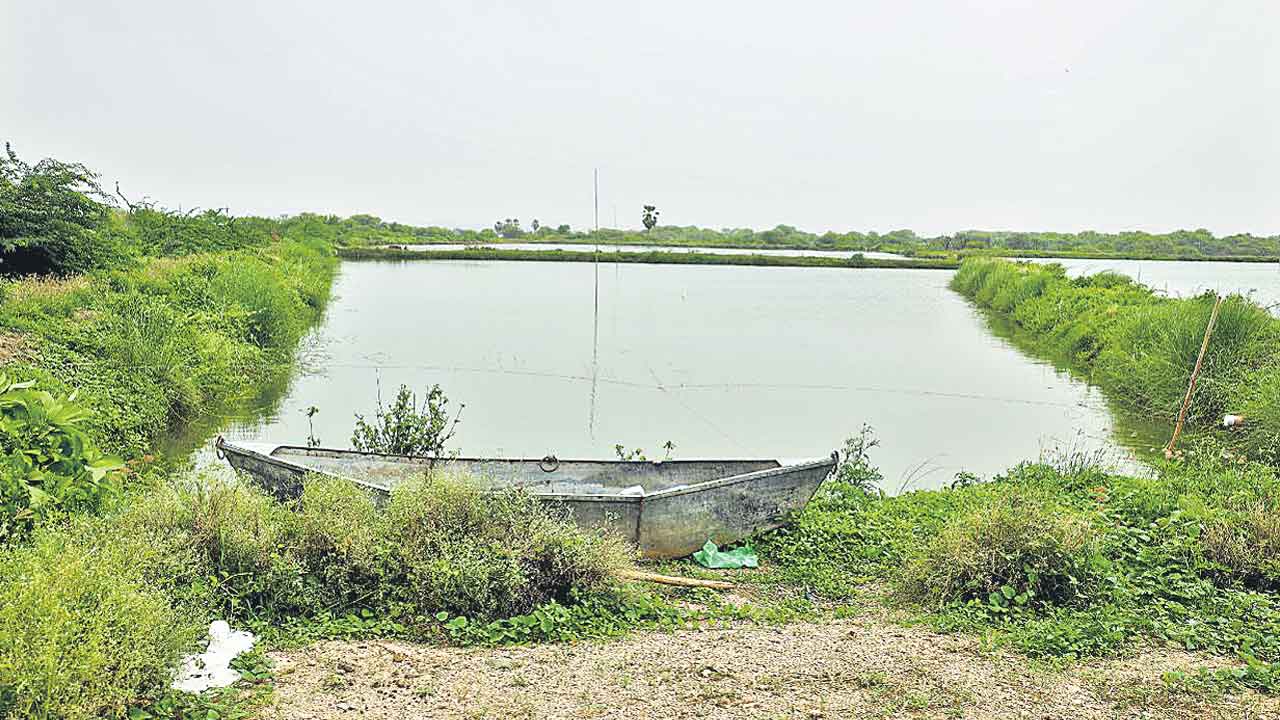 ఎల్లంపల్లిలో ఎఫ్‌టీఎల్‌లోనే భూముల కబ్జా