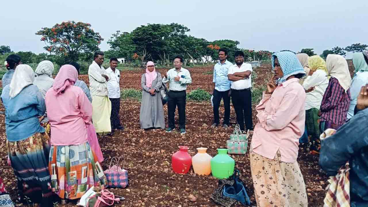 పంతుళ్లు లేకుంటే సదువెవరు చెబుతారు?