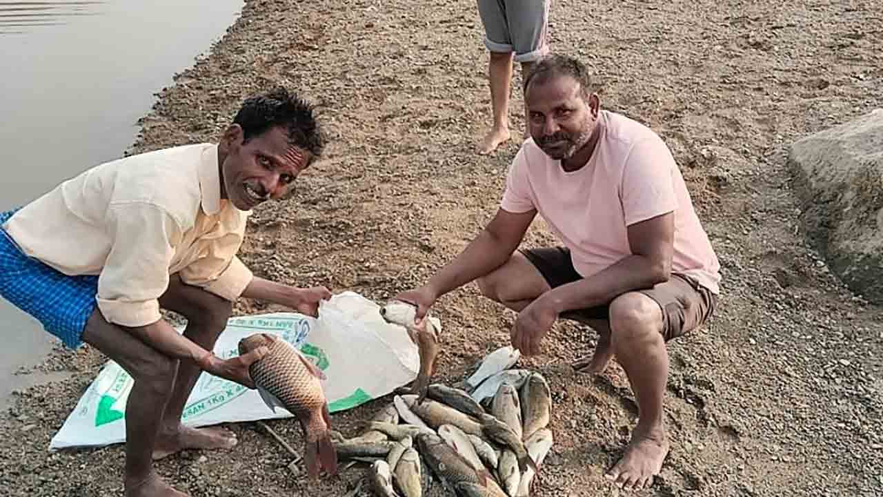 Mrigashira Karte | మృగశిర కార్తె స్పెషల్‌.. చేపల విక్రయానికి మార్కెట్లు రెడీ