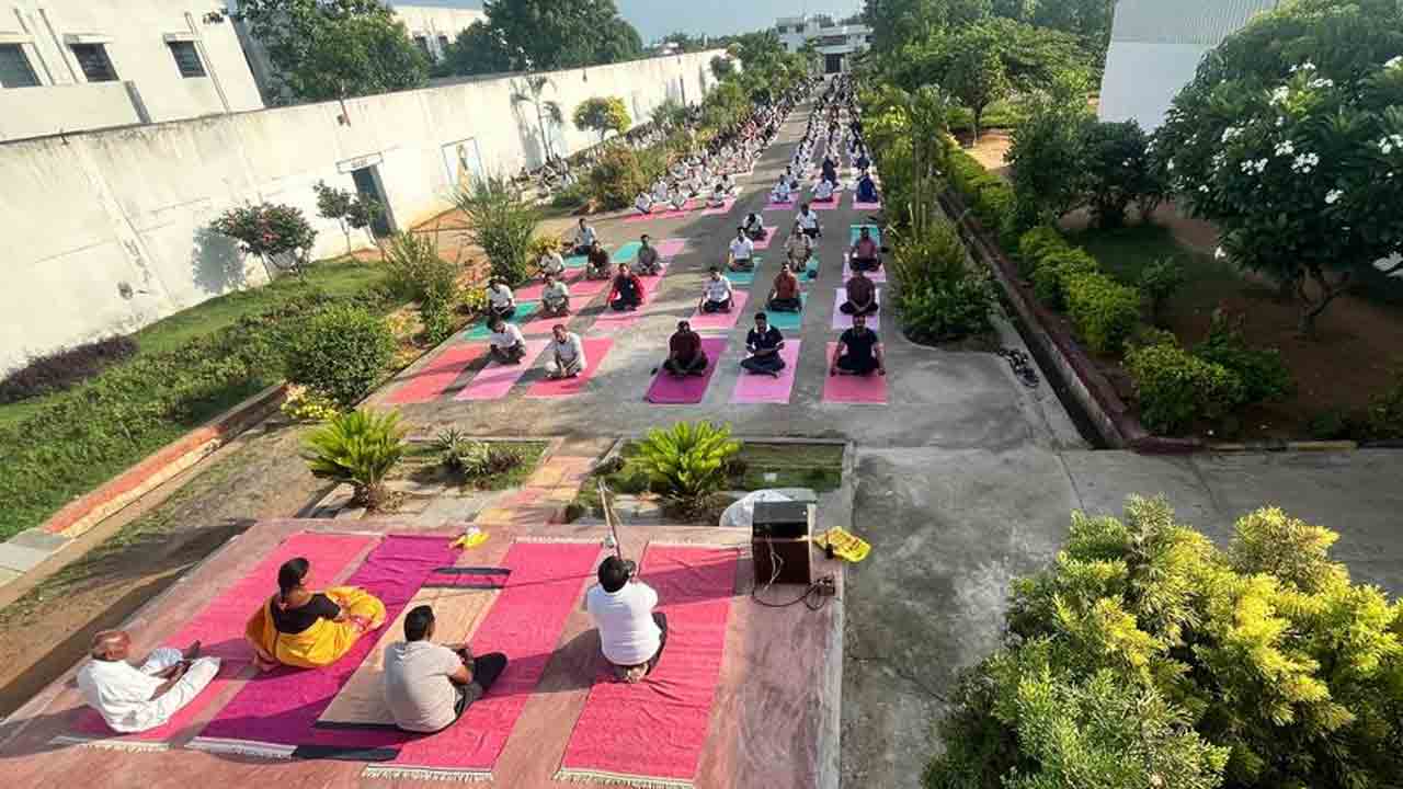 Nzb Yoga