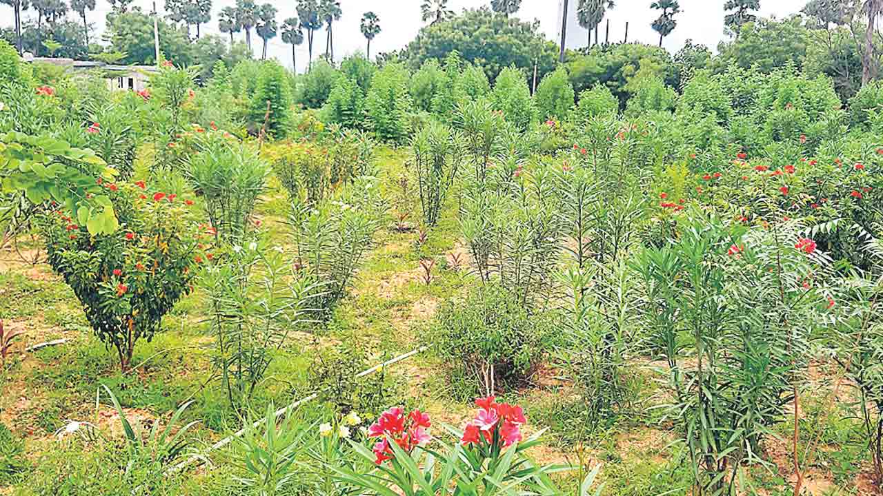 నాడు ప్రకృతి..నేడు వికృతి