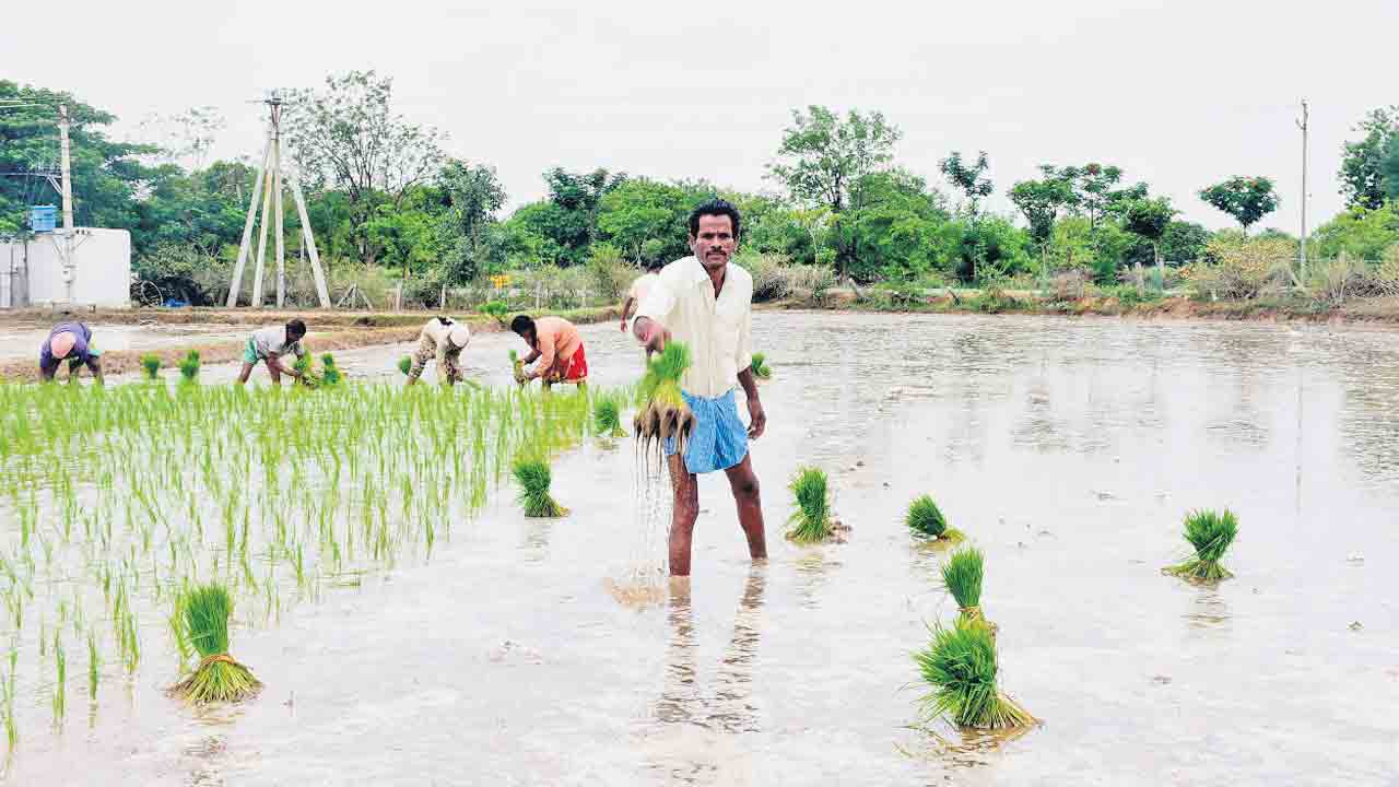 Nalgonda3