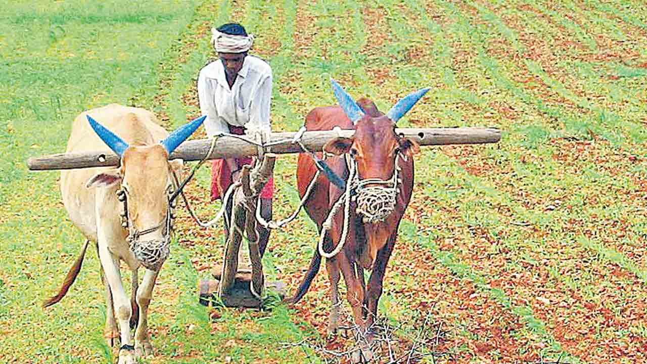 రైతు భరోసా డబ్బులను ఫ్రీజ్‌ చేస్తున్న బ్యాంకర్లు