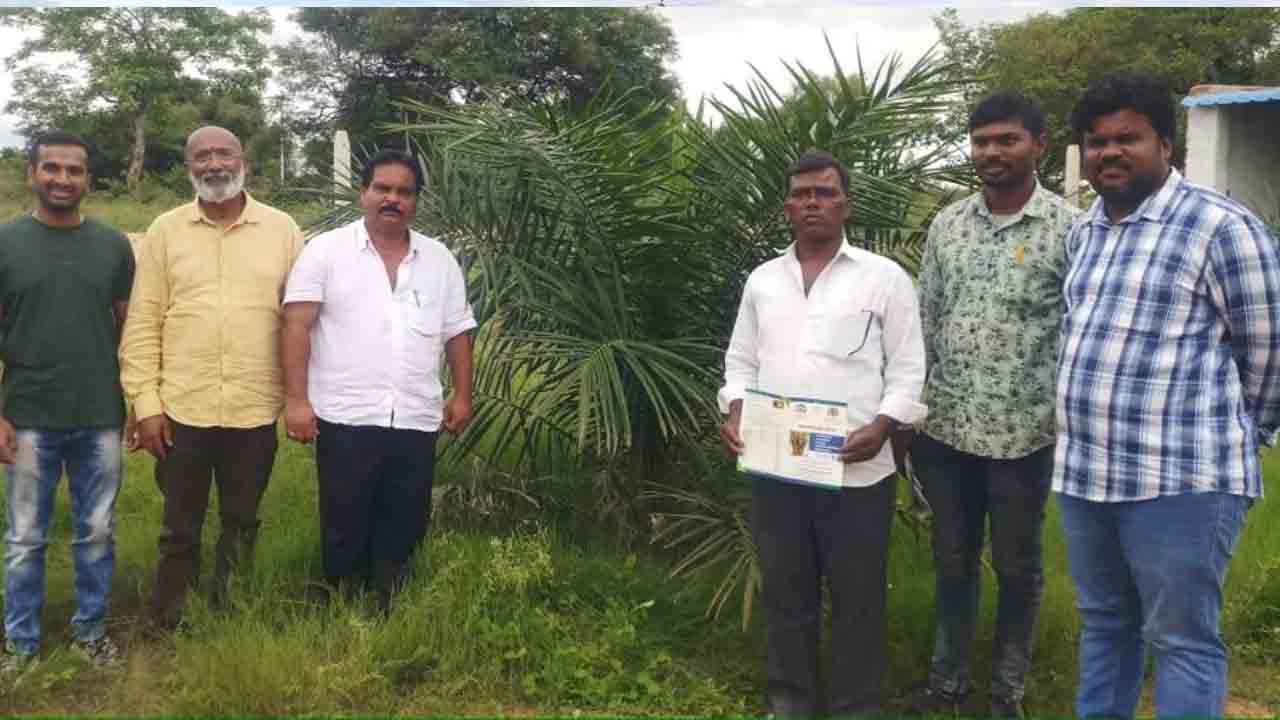 Oil Palm | ఆయిల్ఫాం సాగుతో అధిక లాభాలు : ఆయిల్ ఫాం రాష్ట్ర టెక్నికల్ అడ్వైజరీ రంగనాయకులు