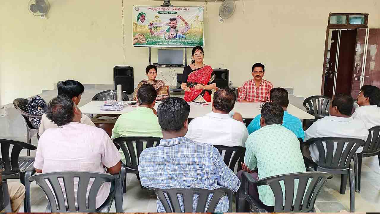 Professor shanti | యాజమాన్య పద్దతులతో అధిక దిగుబడులు : జయశంకర్‌ యూనివర్సిటీ ప్రొఫెసర్‌ శాంతి