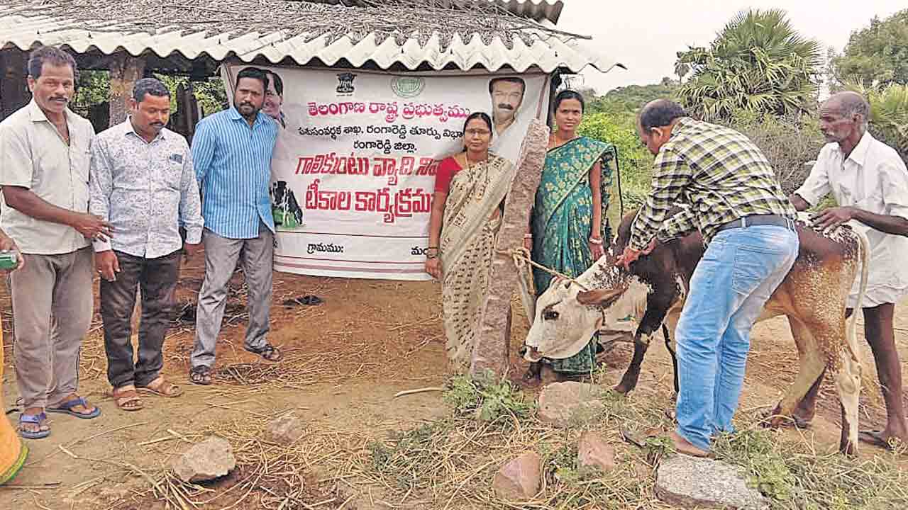 అందని వైద్యం.. భారంగా పశుపోషణ
