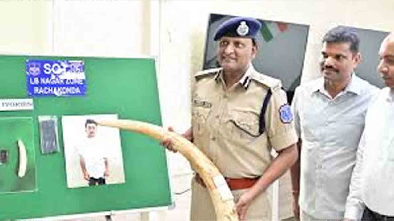 ఏనుగులు చంపేశారా..? దంతాలు ఎలా తెచ్చారు?