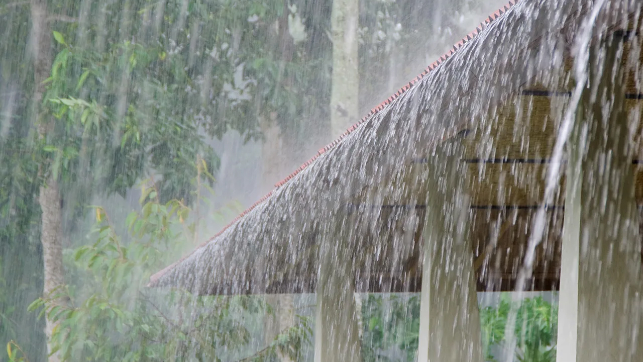 Rain Alert | తెలంగాణలో ఈదురుగాలులతో వానలు.. హెచ్చరించిన ఐఎండీ