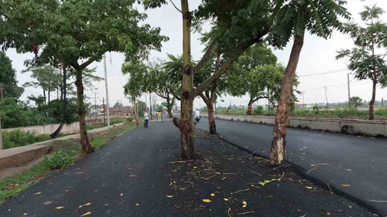 Road Built With Trees Middle | బయటపడిన అధికారుల నిర్లక్ష్యం.. చెట్ల మధ్యలో వంద కోట్లతో రోడ్డు నిర్మాణం