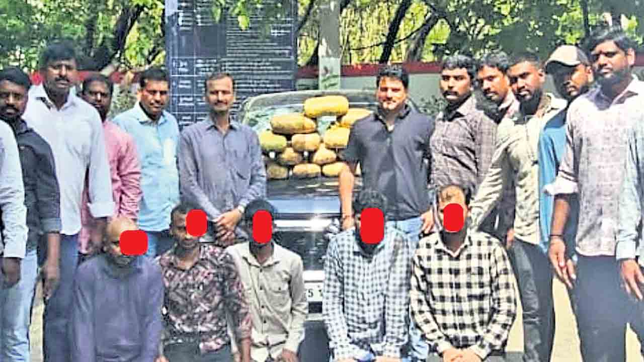 రియల్‌ నష్టాలతో గంజాయి వైపు