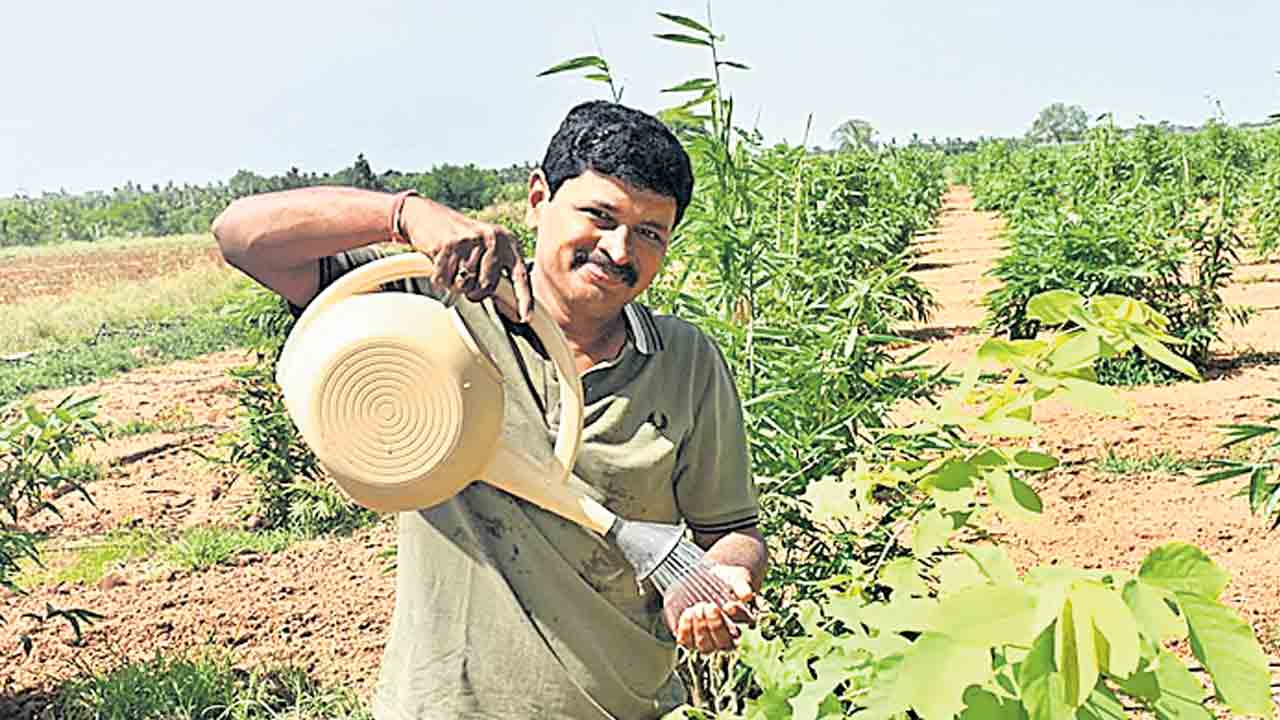 పర్యావరణ పరిరక్షణ అందరి బాధ్యత