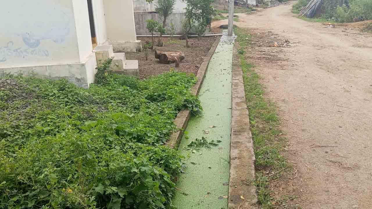 Sarangapur | కాలువల్లో పేరుకుపోయిన మురుగు.. వర్షం పడితే రోడ్డుపై నడువాలంటే చెప్పులు చేతపట్టాల్సిందే